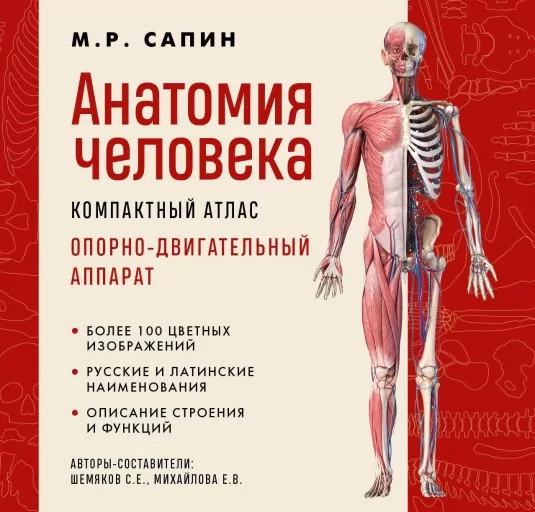 Анатомия человека. Компактный атлас. Опорно-двигательный аппарат
