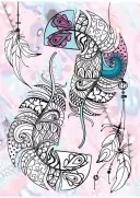 Color Zen. Чарівна країна