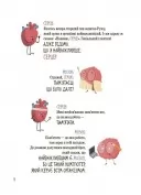 Будова твого організму. Що є що, і як воно працює