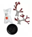 Набір для дослідів. Японський клен Набір для дослідів. Японський клен