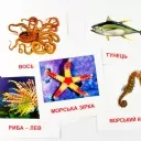 Картки міні з мобільним додатком. Морські жителі