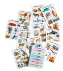 Настільна гра «Географіка»