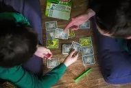 Гра в дорогу. Котовасія