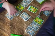 Гра в дорогу. Котовасія