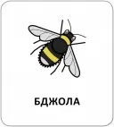 Картки з піктограмами. Тварини