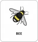 Картки з піктограмами. Тварини