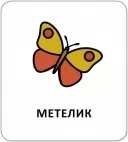 Картки з піктограмами. Тварини