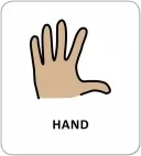 Картки з піктограмами. Гігієна. Моє тіло