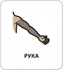 Картки з піктограмами. Гігієна. Моє тіло