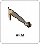 Картки з піктограмами. Гігієна. Моє тіло