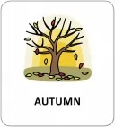 Картки з піктограмами. Природні явища. Пори року