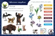 Магічні вправи. Мавка. Таємниці знань