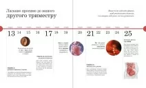 Практична психологія. Вагітність день за днем