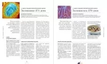 Практична психологія. Вагітність день за днем