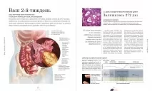 Практична психологія. Вагітність день за днем