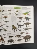 Дивипедія. Енциклопедії DK