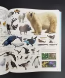 Дивипедія. Енциклопедії DK