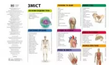 Енциклопедія знань. Тіло людини. Енциклопедії DK