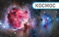 Енциклопедія про все. Наш світ у малюнках. Енциклопедії DK