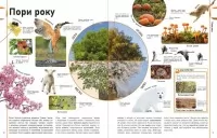 Енциклопедія про все. Наш світ у малюнках. Енциклопедії DK