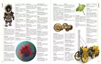 Енциклопедія про все. Наш світ у малюнках. Енциклопедії DK