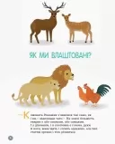 Для турботливих батьків. Енциклопедія статевого життя. 4-6 років