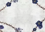 Сага сестер-відьом. Сестра зірок