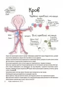 Як улаштоване моє тіло: книжка для дітей (і дорослих!)