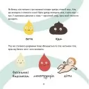 Це - вульва!