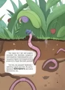 Дивовижні перетворення. Ким працюють рослини