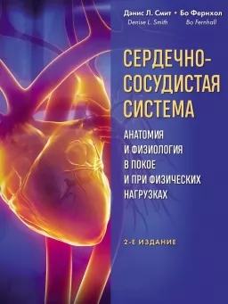 Сердечно-сосудистая система. Анатомия и физиология в покое и при физических нагрузках