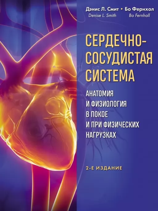 Сердечно-сосудистая система. Анатомия и физиология в покое и при физических нагрузках