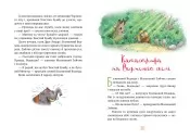 Казки Чарівного лісу