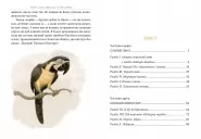 Острів скарбів