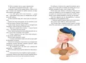 Пригоди Еміля з Льонеберґи