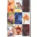 Метафоричні асоціативні карти "Емоції долі"