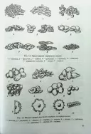 Українська кухня