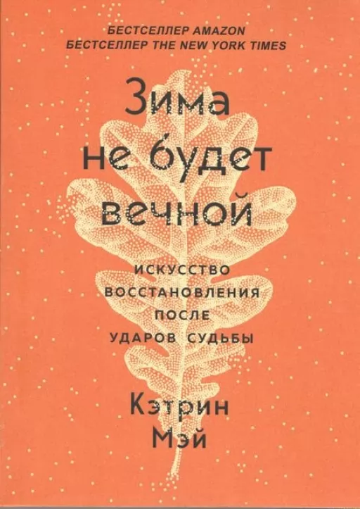 Зима не будет вечной. Искусство восстановления после ударов судьбы